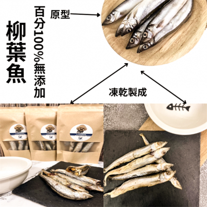 柳葉魚_副本.png